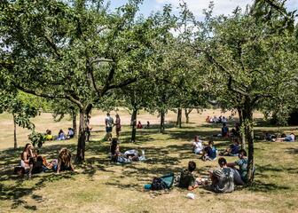 Mensen die picknicken op het gras bij St-Pietersabdij.