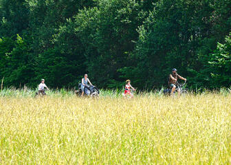 Een vader, dochter, moeder en zoon op de fiets, op de voorgrond hoog gras