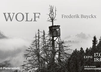 High in a treetop sits a wooden lookout hut. A long wooden ladder seems to allow you to climb from the surrounding treetops (conifers) to the lookout hut. In the background, you can see several snow-covered mountain peaks around which a dense fog hangs.