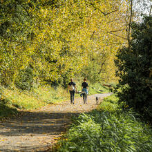 Pareja haciendo senderismo con su perro en el parque natural De Bourgoyen